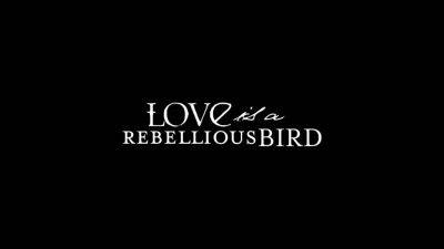 Love Is A Rebellious Bird With Shyla Jennings, Dahlia Sky And Alison Rey - hotmovs.com